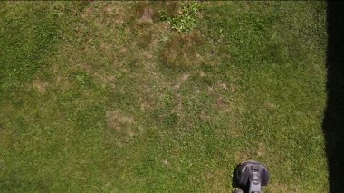 yeşil çimen dokusu arka planında robotik çim biçme makinesi var