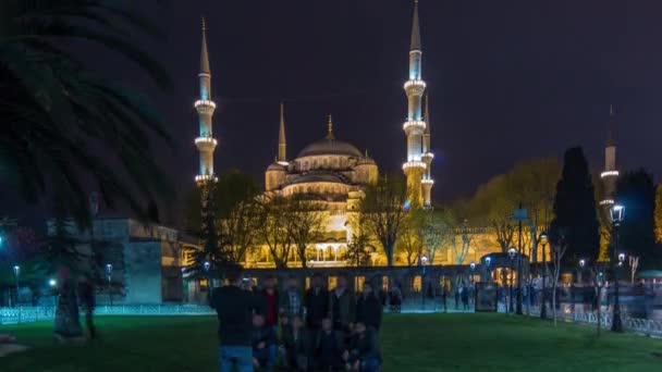 Illuminated Blue Mosque Night Timelapse View Lawn Palm Istanbul Mosque — Vídeo de stock