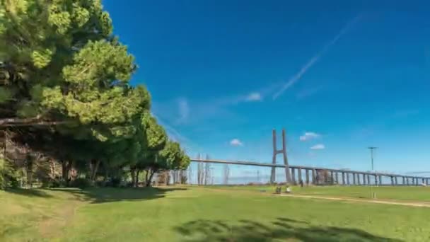 Vasco Gama Bridge Timelapse Hyperlapse Green Lawn Trees Cable Stayed — Αρχείο Βίντεο