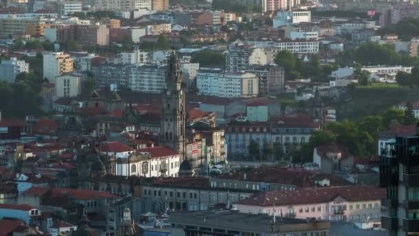 Widok Lotu Ptaka Dachy Starego Miasta Portos Kościołem Clerigos Ciepły — Wideo stockowe