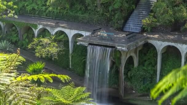 滝の空中時間経過 モンテ宮殿 フンシャル マデイラ ポルトガルの植物や緑の木と熱帯庭園の上からの眺め — ストック動画