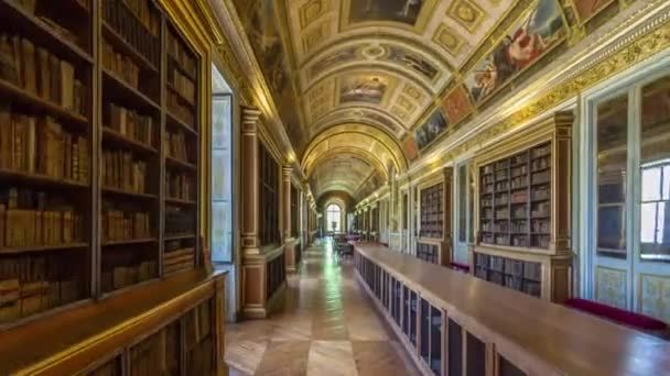 Wnętrza Szczegóły Architektoniczne Dużej Biblioteki Chateau Fontainebleau Timelapse Hyperlapse Dom — Wideo stockowe