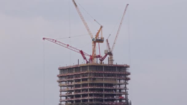 Számos Toronydaru Dolgozik Monolitikus Kereskedelmi Toronyház Felhőkarcolójának Építésén Fejlesztés Dubaiban — Stock videók