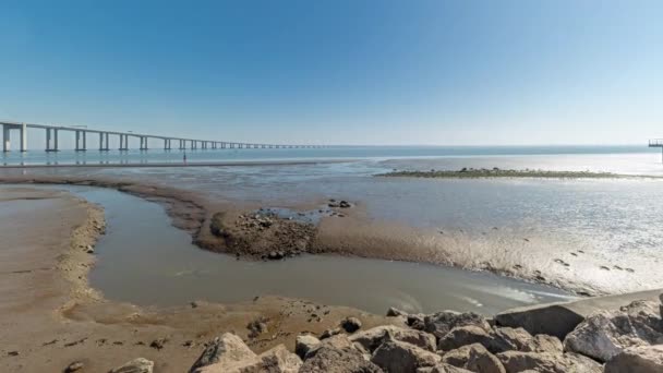 Панорама Показує Рух Від Низького Високого Припливу Поруч Мостом Васко — стокове відео