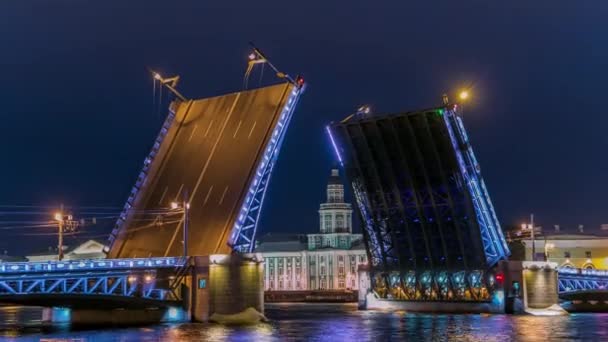 在众多的船只和著名的昆斯塔姆拉 Kunstkamera 人类学和人种学博物馆 Museum Anthropology Ethgraphy 高耸的皇宫桥穿行 俯瞰涅瓦河 场景体现了圣彼得堡的魅力 俄罗斯 — 图库视频影像