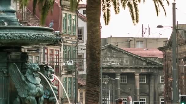 Fountain Palm Plaza Located Carmo Church Porto Portugal Timelapse Historical — Vídeos de Stock