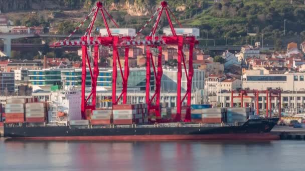 Chargement Déchargement Des Navires Porte Conteneurs Dans Les Délais Port — Video