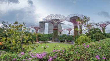 Singapur körfezi yakınlarındaki Garden 'da gün batımından sonraki fütüristik hava görüntüsü. İzleyicileri olan yeşil çimenler. Supertree Groveis 'deki gece lambası gösterisi Marina Körfezi' nin ana turistik merkezi.