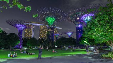 Singapur 'daki körfez gecesinde Garden' da muhteşem bir aydınlanma manzarası. İzleyicileri olan yeşil çimenler. Supertree Groveis 'deki gece lambası gösterisi Marina Körfezi' nin ana turistik merkezi.