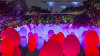 Dragonfly Gölü ve Bayfront Plaza Bahçeleri 'nde birlikte gelecek sergisi. Işığın renk değiştirmesi, yankılanan ses ve ışık gösterisi, Singapur