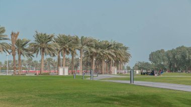 Katar 'ın başkenti Doha' da yedi kilometre uzunluğundaki Corniche 'nin bir ucunda bulunan MIA Park zaman aralığındaki palmiyeler. Yeşil çimen ve yol.