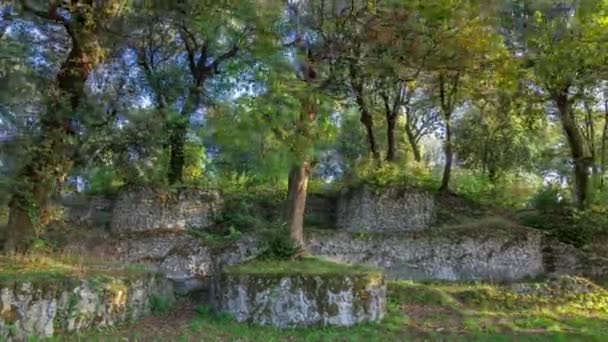 Timelapse Hyperlapse Villa Doria Pamphili Park Albano Laziale Italy Греться — стоковое видео