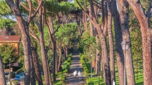 Хронология Парка Villa Doria Pamphili Альбано Лациале Италия Обнимите Красоту — стоковое видео
