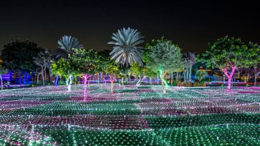 Palmiye ağaçlı otlar. Dubai Glow Garden zaman çizelgesi, aydınlatılmış ağaçlar ve heykeller. Çevre dostu mimarinin yer aldığı, çeşitli yapılar yaratan bir sanat devleti.