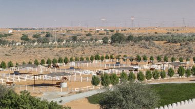 mavi gökyüzü bulutlu, Birleşik Arap Emirlikleri Arap atı toz çöl timelapse padok içinde çalışır