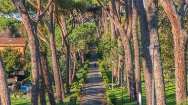 Albano Laziale, İtalya 'daki Villa Doria Pamphili Parkı' nın Zaman Çizelgesi. Bu Resimli İtalyan Vahasında Yeşil Ağaçların Güzelliğini ve Ilık Işığını Kucakla