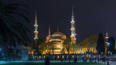 Illuminated Blue Mosque at night timelapse view from lawn with palm in Istanbul. Mosque built to rival Hagia Sophia, located next to each other.