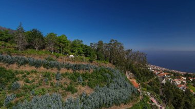 Madeira 'daki teleferikli araçtan dağın tepesindeki hava görüntüsü. Modern peyzaj. Funchal, Portekiz.