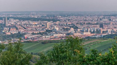 Tuna Bakış Açısı Leopoldsberg 'in zaman çizelgesinden Viyana silueti. Şehir merkezinde akşam olmadan önce gökdelenler ve tarihi binalar var.