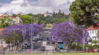 Lizbon caddesinde çiçek açan güzel Mavi Jacaranda Jardim Ducla Soares 'in zamanındaki anıtıyla. Avenida Torre de Belem 'de bulvar trafiği ve gökyüzünde bulutlar. Portekiz