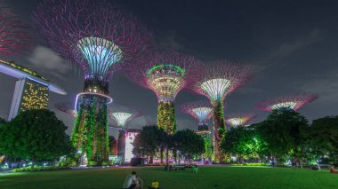 Singapur 'daki körfez gecesinde Garden' da muhteşem bir aydınlanma manzarası. İzleyicileri olan yeşil çimenler. Supertree Groveis 'deki gece lambası gösterisi Marina Körfezi' nin ana turistik merkezi.