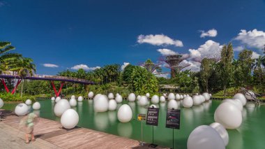 Dragonfly Gölü ve Bayfront Plaza Bahçeleri 'nde 