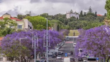 Lizbon caddesinde çiçek açan güzel Mavi Jacaranda Jardim Ducla Soares 'in zamanındaki anıtıyla. Avenida Torre de Belem 'de bulvar trafiği ve gökyüzünde bulutlar. Portekiz