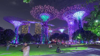 Singapur 'daki körfez gecesinde Garden' da muhteşem bir aydınlanma manzarası. İzleyicileri olan yeşil çimenler. Supertree Groveis 'deki gece lambası gösterisi Marina Körfezi' nin ana turistik merkezi.