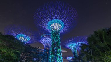 Singapur 'daki körfez gecesi hiperhızlandırılmış hızlandırılmış hızlandırılmış zaman aralığı ile Garden' daki muhteşem aydınlanmanın fütüristik görüntüsü. Supertree Groveis 'deki gece lambası gösterisi Marina Körfezi' nin ana turistik merkezi.