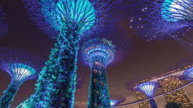 Singapur 'daki körfez gecesi hiperhızlandırılmış hızlandırılmış hızlandırılmış zaman aralığı ile Garden' daki muhteşem aydınlanmanın fütüristik görüntüsü. Supertree Groveis 'deki gece lambası gösterisi Marina Körfezi' nin ana turistik merkezi.