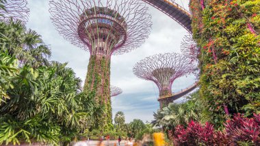 Körfez ve Gökyüzü Köprüsü yakınlarındaki Gardens 'ta süper ağaçlar. Zaman atlaması. Ağaca benzer yapılar, ağaçların ekolojik işlevlerini taklit eden çevre teknolojileriyle donatılmıştır..