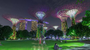 Singapur 'daki körfez gecesinde Garden' da muhteşem bir aydınlanma manzarası. İzleyicileri olan yeşil çimenler. Supertree Groveis 'deki gece lambası gösterisi Marina Körfezi' nin ana turistik merkezi.