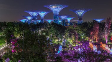 Singapur 'daki körfez gecesinde Garden' da fütürist şaşırtıcı aydınlanma. Hafif donanımlı Dragonfly Gölü. Supertree Groveis 'deki gece lambası gösterisi Marina Körfezi' nin ana turistik merkezi.