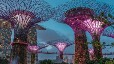 Singapur körfezi gecesinde Garden 'da gün batımından sonra muhteşem aydınlanmanın fütüristik hava görüntüsü. Supertree Groveis 'deki gece lambası gösterisi Marina Körfezi' nin ana turistik merkezi.
