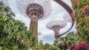 Körfez ve Gökyüzü Köprüsü yakınlarındaki Gardens 'ta süper ağaçlar. Zaman atlaması. Ağaca benzer yapılar, ağaçların ekolojik işlevlerini taklit eden çevre teknolojileriyle donatılmıştır..