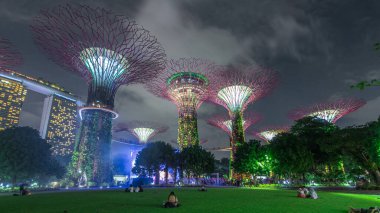 Singapur 'daki körfez gecesinde Garden' da muhteşem bir aydınlanma manzarası. İzleyicileri olan yeşil çimenler. Supertree Groveis 'deki gece lambası gösterisi Marina Körfezi' nin ana turistik merkezi.