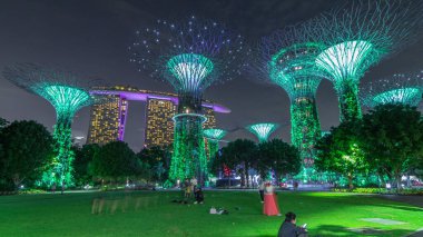 Singapur 'daki körfez gecesinde Garden' da muhteşem bir aydınlanma manzarası. İzleyicileri olan yeşil çimenler. Supertree Groveis 'deki gece lambası gösterisi Marina Körfezi' nin ana turistik merkezi.