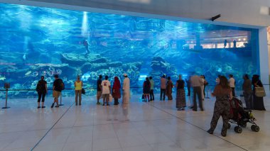 AVM 'deki akvaryum - dünyanın en büyük alışveriş merkezi, Dubai' deki Burj Halife, Birleşik Arap Emirlikleri zaman aşımı