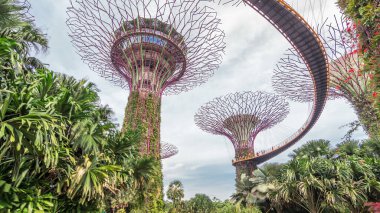 Körfez ve Gökyüzü Köprüsü yakınlarındaki Gardens 'ta süper ağaçlar. Zaman atlaması. Ağaca benzer yapılar, ağaçların ekolojik işlevlerini taklit eden çevre teknolojileriyle donatılmıştır..