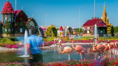 Dubai 'de fıskiyeli ve flamingolu bir göl mucizevi bahçe zamanı güneşli bir günde 45 milyondan fazla çiçek, Birleşik Arap Emirlikleri. Ev çiçeklerden yapılır.