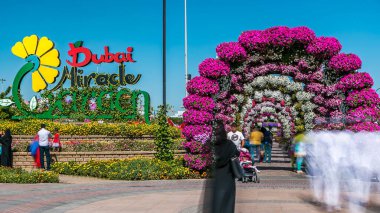 Güneşli bir günde, Birleşik Arap Emirlikleri 'nde 45 milyondan fazla çiçekle Dubai mucizevi bahçesine giriş. Kemerler çiçeklerden yapılır.