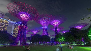 Singapur 'daki körfez gecesinde Garden' da muhteşem bir aydınlanma manzarası. İzleyicileri olan yeşil çimenler. Supertree Groveis 'deki gece lambası gösterisi Marina Körfezi' nin ana turistik merkezi.