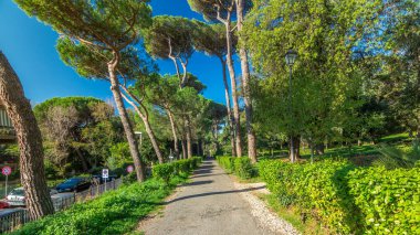 Büyüleyici Albano Laziale: İtalya 'da Villa Doria Pamphili Park Zaman Hızı Hiperlapası. Kendinizi Yeşil Ağaçların Huzuruna ve Sıcak Işığa daldırın, Doğanın Büyüleyici Dansı