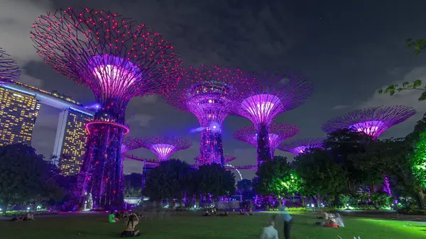 Singapur 'daki körfez gecesinde Garden' da muhteşem bir aydınlanma manzarası. İzleyicileri olan yeşil çimenler. Supertree Groveis 'deki gece lambası gösterisi Marina Körfezi' nin ana turistik merkezi.