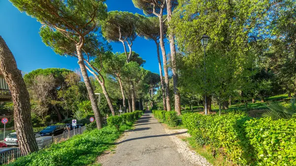 Büyüleyici Albano Laziale: İtalya 'da Villa Doria Pamphili Park Zaman Hızı Hiperlapası. Kendinizi Yeşil Ağaçların Huzuruna ve Sıcak Işığa daldırın, Doğanın Büyüleyici Dansı