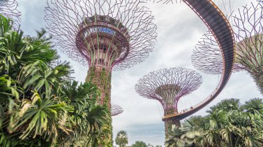 Körfez ve Gökyüzü Köprüsü yakınlarındaki Gardens 'ta süper ağaçlar. Zaman atlaması. Ağaca benzer yapılar, ağaçların ekolojik işlevlerini taklit eden çevre teknolojileriyle donatılmıştır..