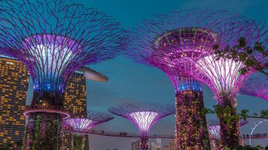 Singapur körfezi gecesinde Garden 'da gün batımından sonra muhteşem aydınlanmanın fütüristik hava görüntüsü. Supertree Groveis 'deki gece lambası gösterisi Marina Körfezi' nin ana turistik merkezi.