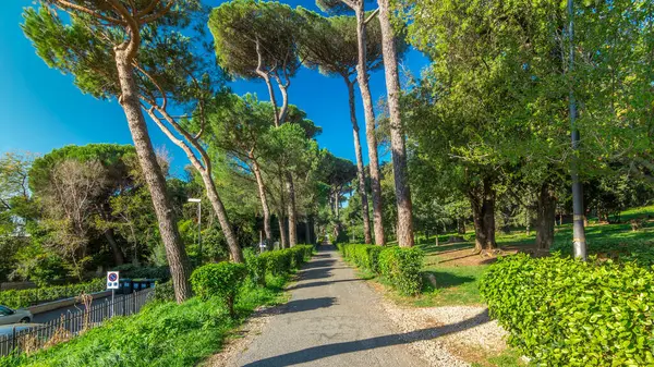 Büyüleyici Albano Laziale: İtalya 'da Villa Doria Pamphili Park Zaman Hızı Hiperlapası. Kendinizi Yeşil Ağaçların Huzuruna ve Sıcak Işığa daldırın, Doğanın Büyüleyici Dansı