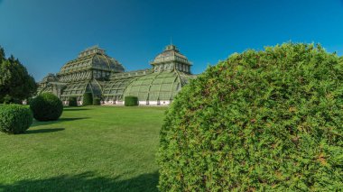 Palmenhaus Schoenbrunn zaman atlaması - Avusturya, Viyana 'daki Schoenbrunn parkında büyük bir sera. Etrafında çiçek tarhı olan yeşil çimenler