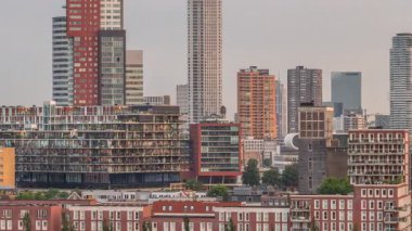 Rotterdam, Hollanda 'daki Katendrecht yarımadasının ve Maashaven limanının uçuş zamanı. Sabahları sıcak ışık, modern gökdelenler ve geleneksel Hollanda rıhtım evleri ile şehir silueti yükseliyor.